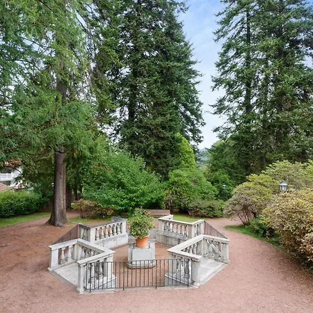 Del Quadrifoglio * 아메노